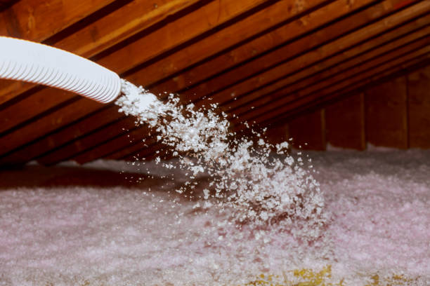 Best Insulation for New Construction  in Hillsdale, NJ