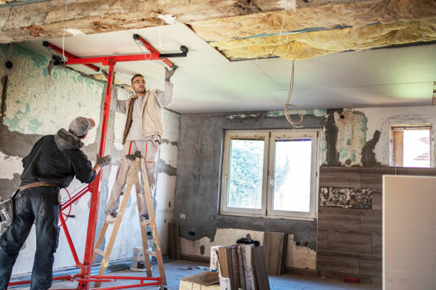 Best Spray Foam Insulation  in Hillsdale, NJ