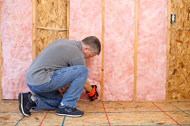 Best Professional Insulation Contractor  in Hillsdale, NJ