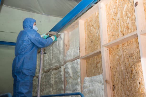 Best Spray Foam Insulation  in Hillsdale, NJ