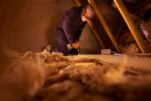 Best Cellulose Insulation  in Hillsdale, NJ